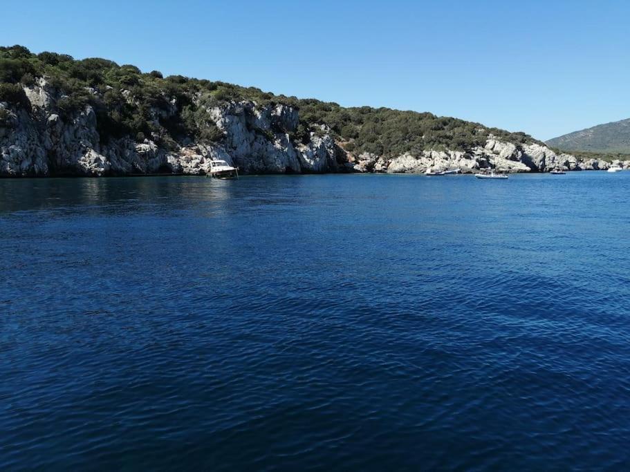 Palau Del Corso Leilighet Alghero Eksteriør bilde